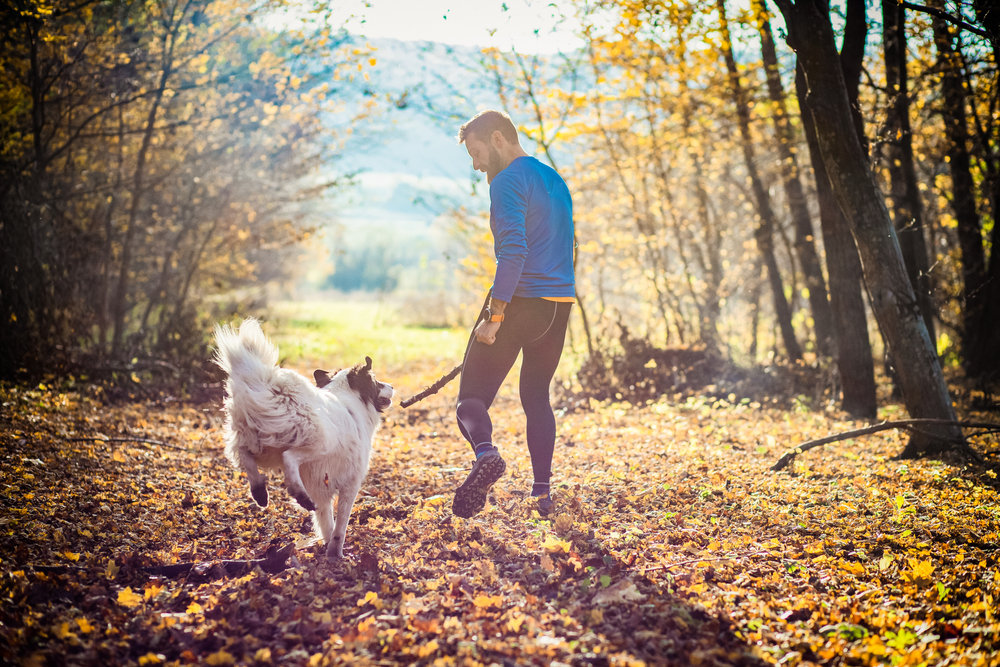 Man walking dog to be combat loneliness