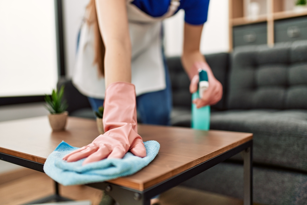 Cleaning and maintaining clean home