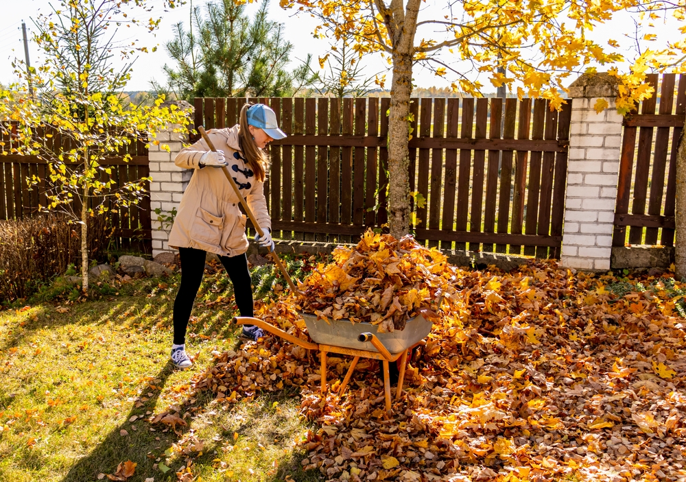 Top 8 Autumn Tips to Prepare Your Garden for Winter